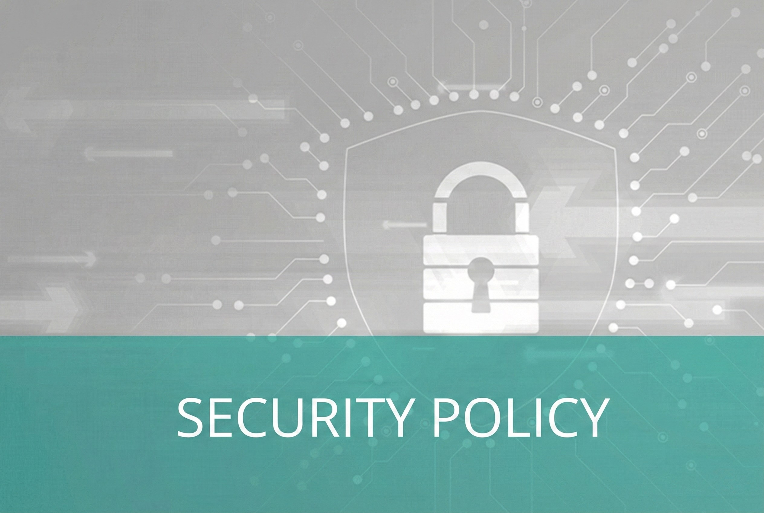 Imagem ilustrativa - Security Policy