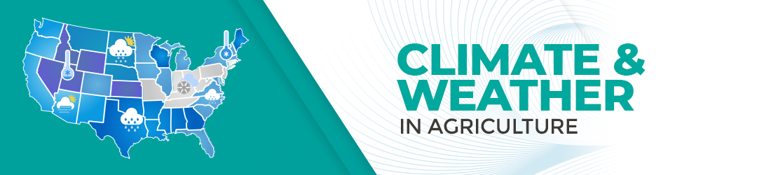 Climate and Weather Forecasting in Agriculture